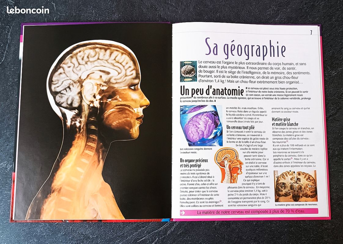 Livre Atlas des juniors le cerveau - Édition Atlas Jeunesse (image 5)