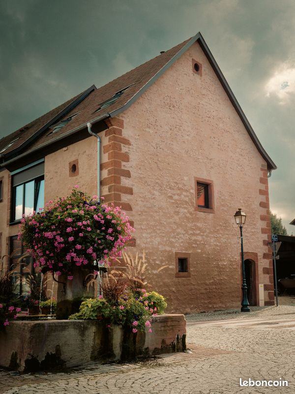 Appartement tout neuf et libre au mois d'août pour vos vacances en Alsace (image 8)