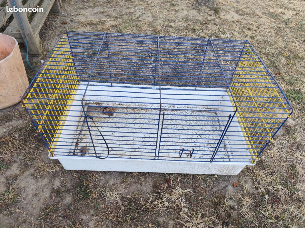 Cage lapin ou cochon d'Inde (image 1)