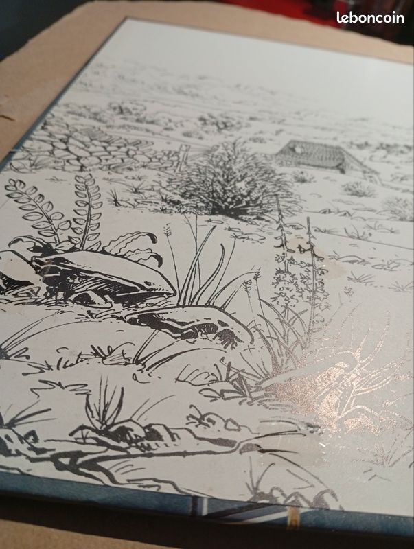 Le pays miroir (image 15)