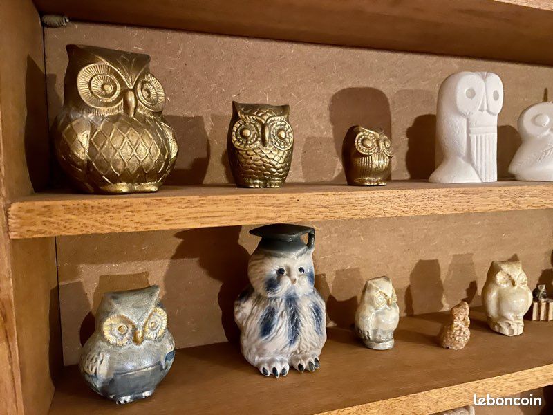 Collection de chouettes (image 3)