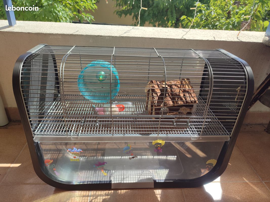 Cage hamster (image 1)