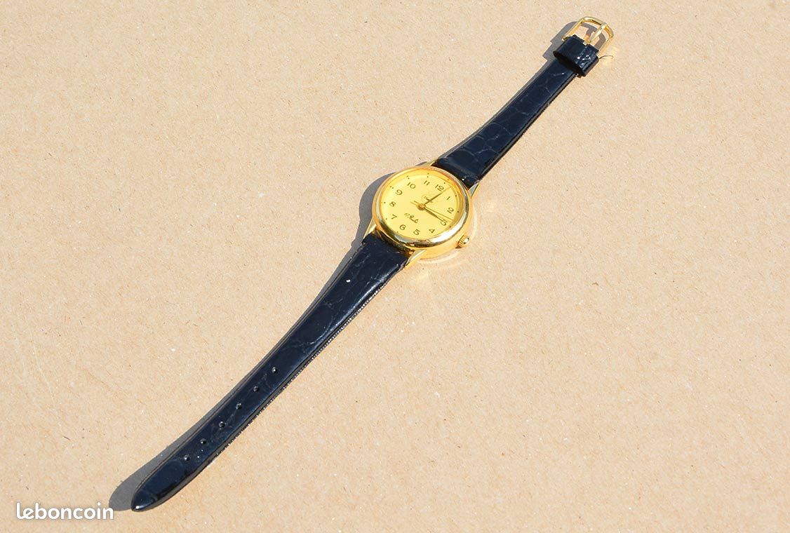 Montre Erlanger 17 Rubis Antichoc (image 3)
