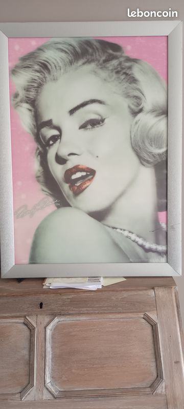 Tableau de marilyne monroe avec reflet (image 2)