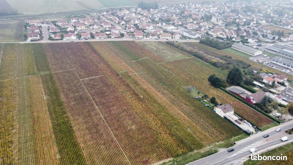 Terrain de 394 m² à NUITS-SAINT-GEORGES (COTE-D'OR) · 90 000 €