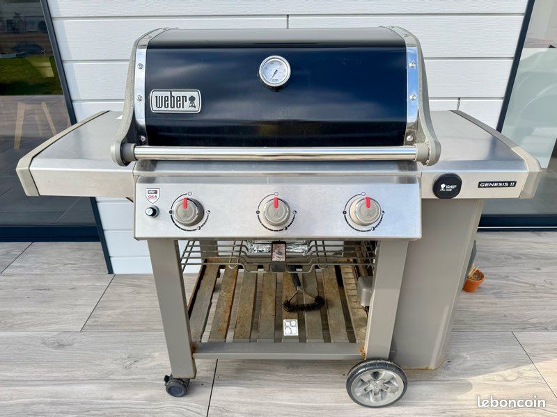 GFTIME Plaque de cuisson en fonte de 47,6 cm pour barbecue à gaz Weber Genesis II 300 et Genesis II LX 300, Genesis II E/S 310 315 320 325 340, pièce de