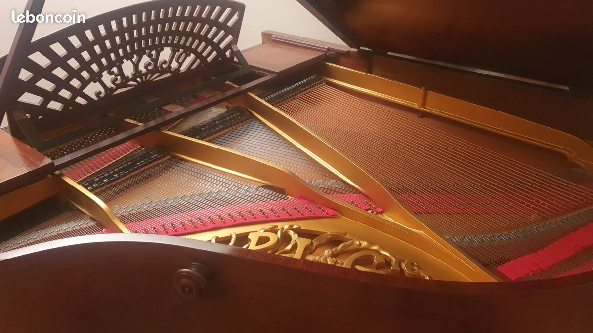 Piano 1/4 de queue Pleyel (image 6)