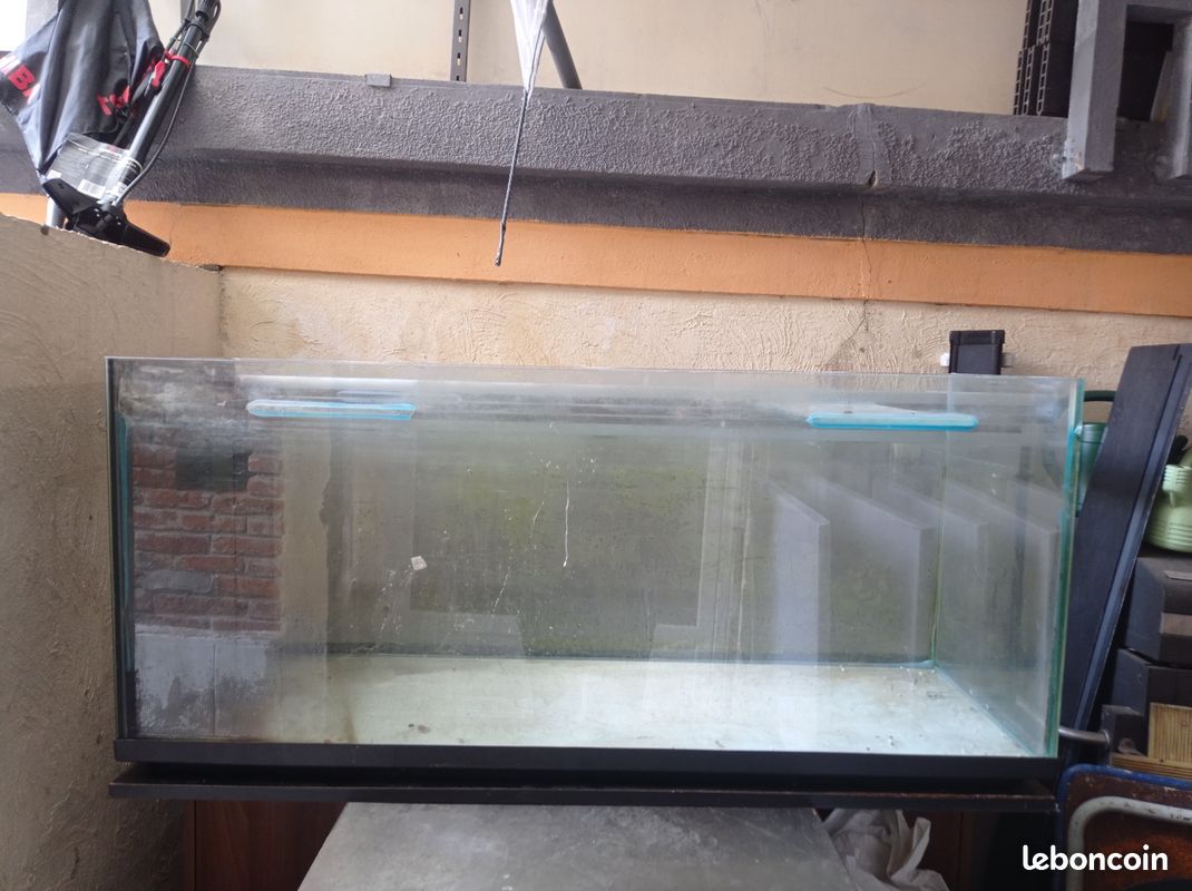 Aquarium de poisson (image 2)