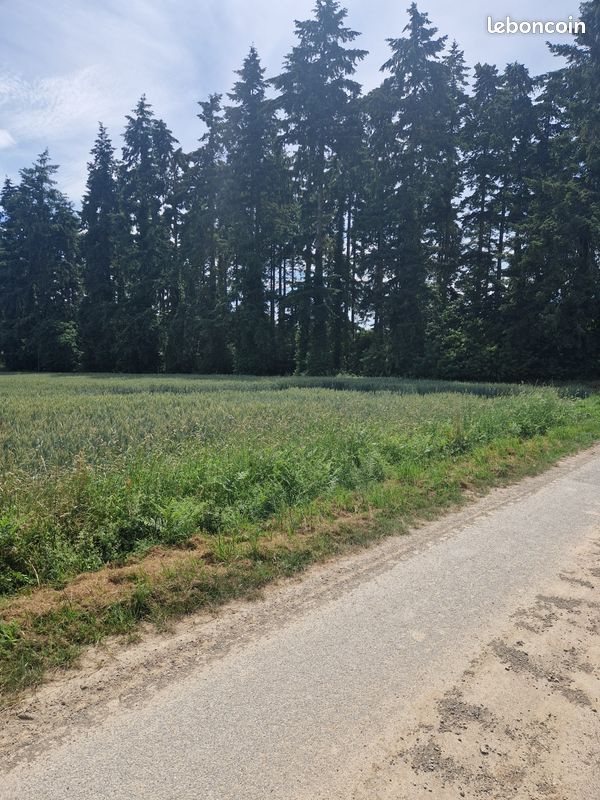Parcelle forestiere douglas · à Mauron · 24 000 €