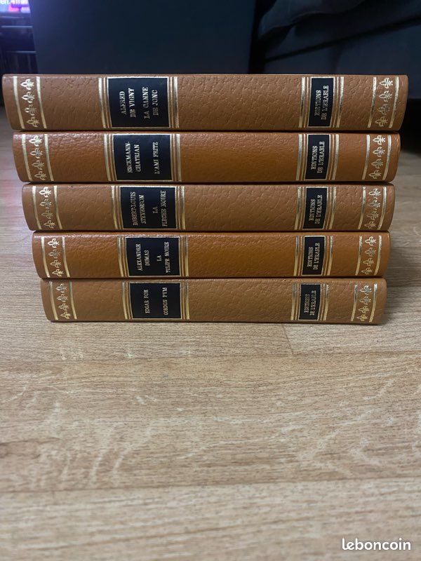 Livre rare lot de 32 livre éditions de l’érable (image 4)