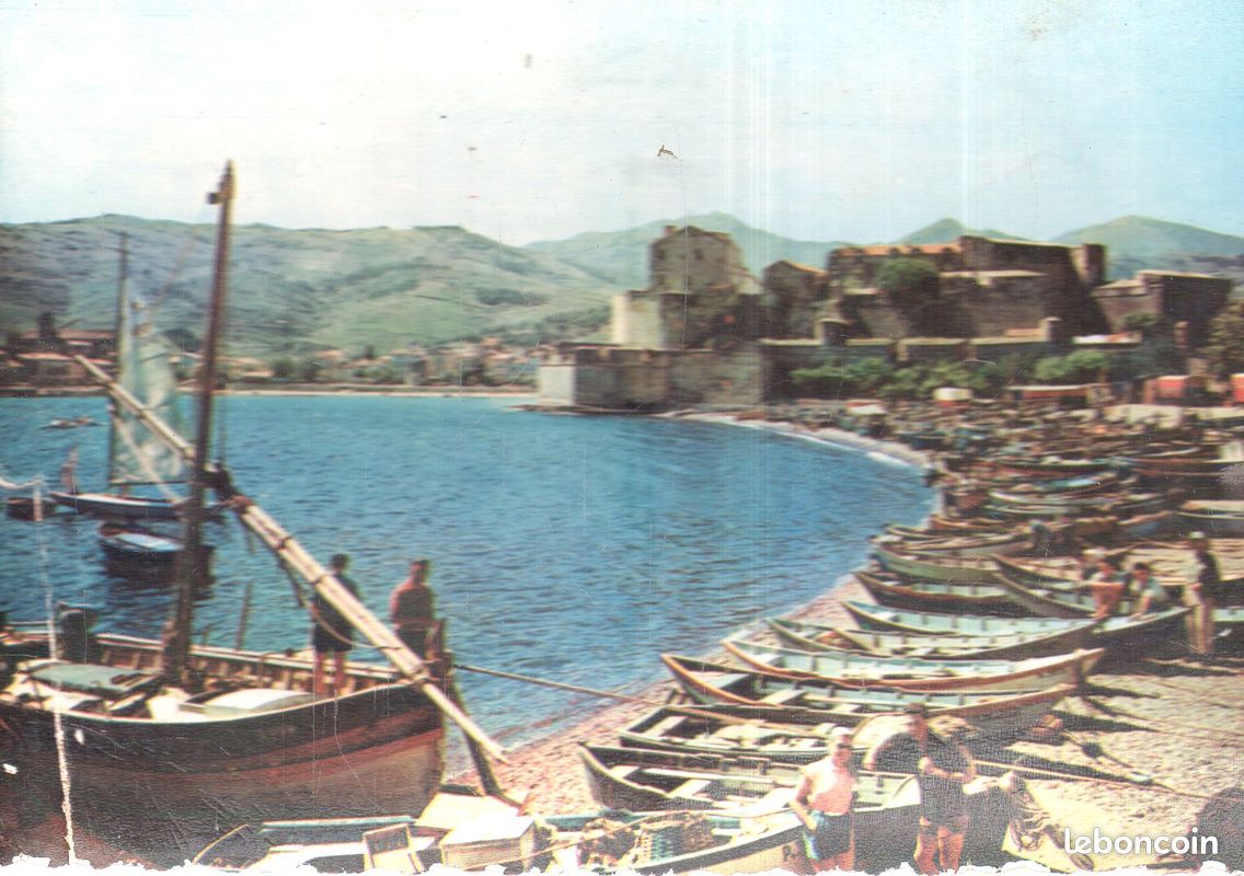Carte postale semi moderne cpsm gf – pyrenees orientales 66 - barques de peche a collioure au pied du chateau des templiers (image 1)