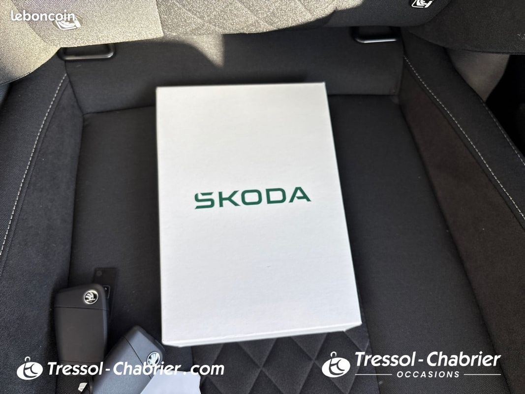 SKODA Fabia 1.0 TSI 116 ch EVO 2 DSG7 Monte-Carlo (image 29)