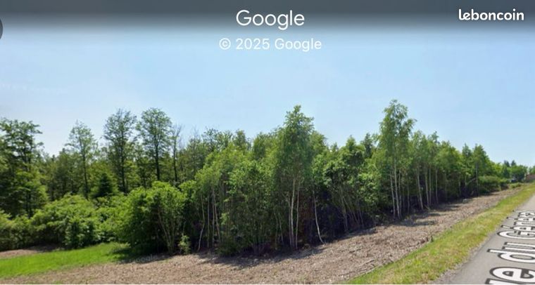Terrain 6000 m2 Chantraine