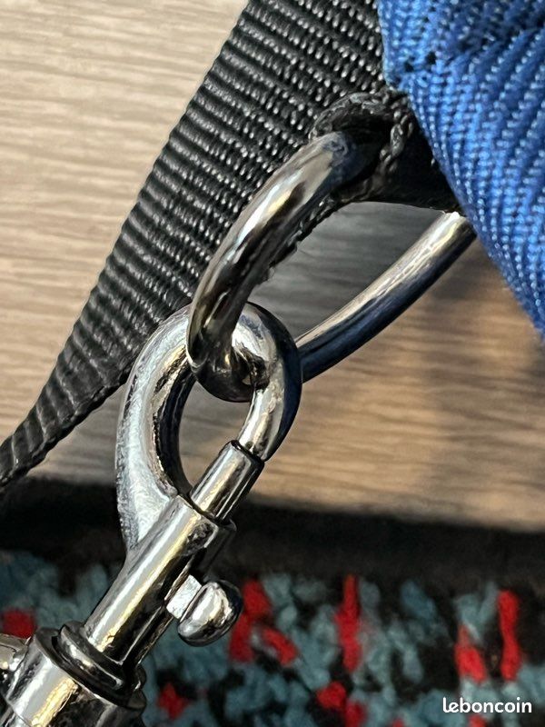 đđ€ Petit sac de Voyage format week-end ou Cabine DELSEY (image 14)