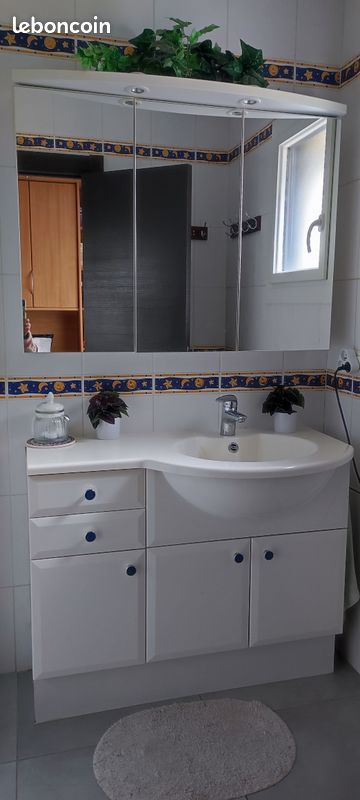 Meubles salle de bain (image 6)