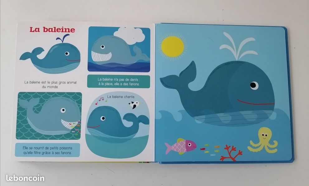 Les animaux de la mer (image 8)