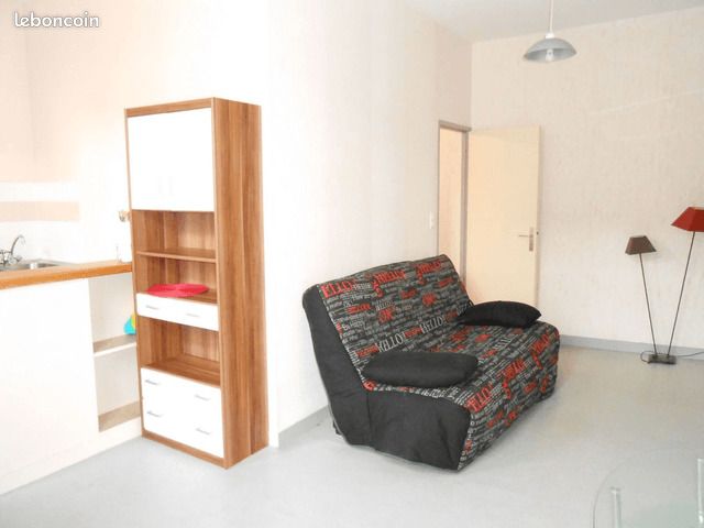 Appartement 1 pièce 28 m² - Limoges 87000 (image principale 3)