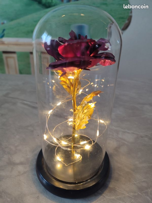 Rose sous globe en verre couleur fushia (image 9)