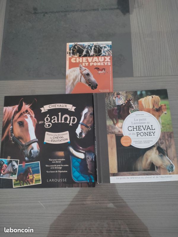 Lot de livres sur les chevaux et l'équitation (image 1)