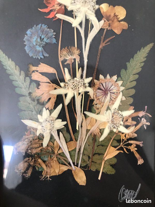 Joli tableau sous verre vintage bouquet fleurs séchées Edelweiss et autres fleurs (image 8)