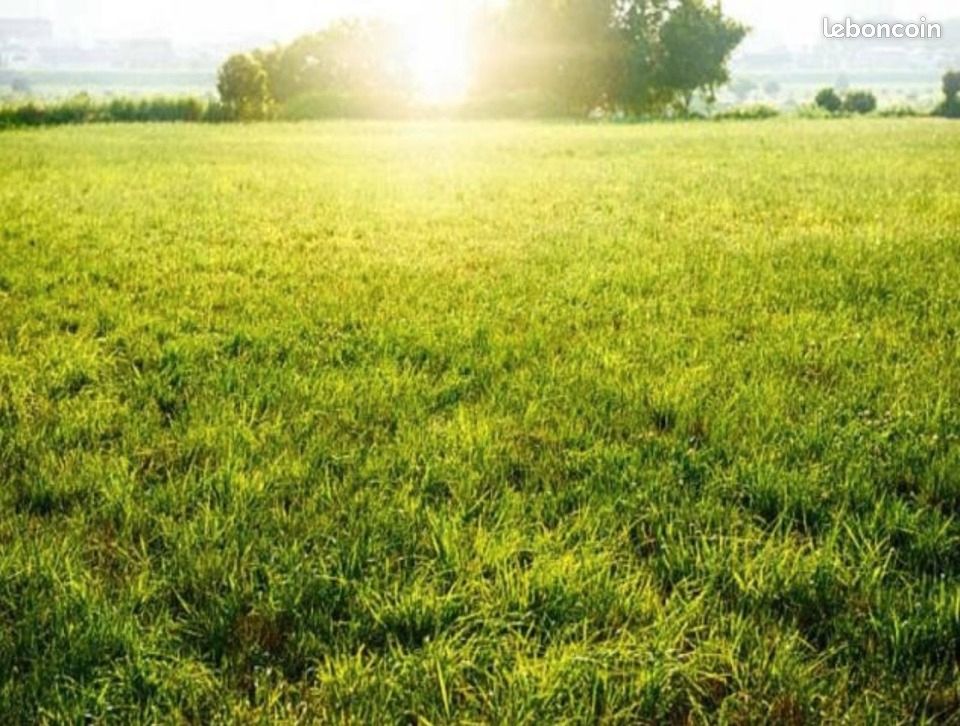 Terrain 484 m² Neuille Pont Pierre · à Neuillé-Pont-Pierre · 65 000 €