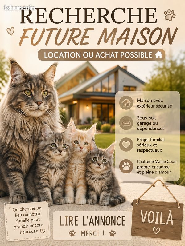 Maison 4 pièces 100 m² · à Villeneuve-sur-Lot · 100 m² · 900 €