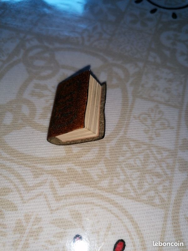 Pin's livre des droits de l'homme (image 1)