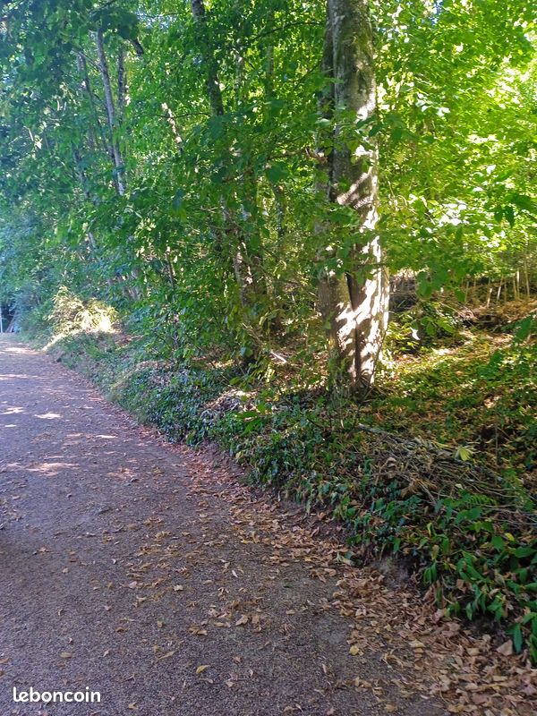 Terrain de Loisirs · à Sillé-le-Philippe · 17 500 €