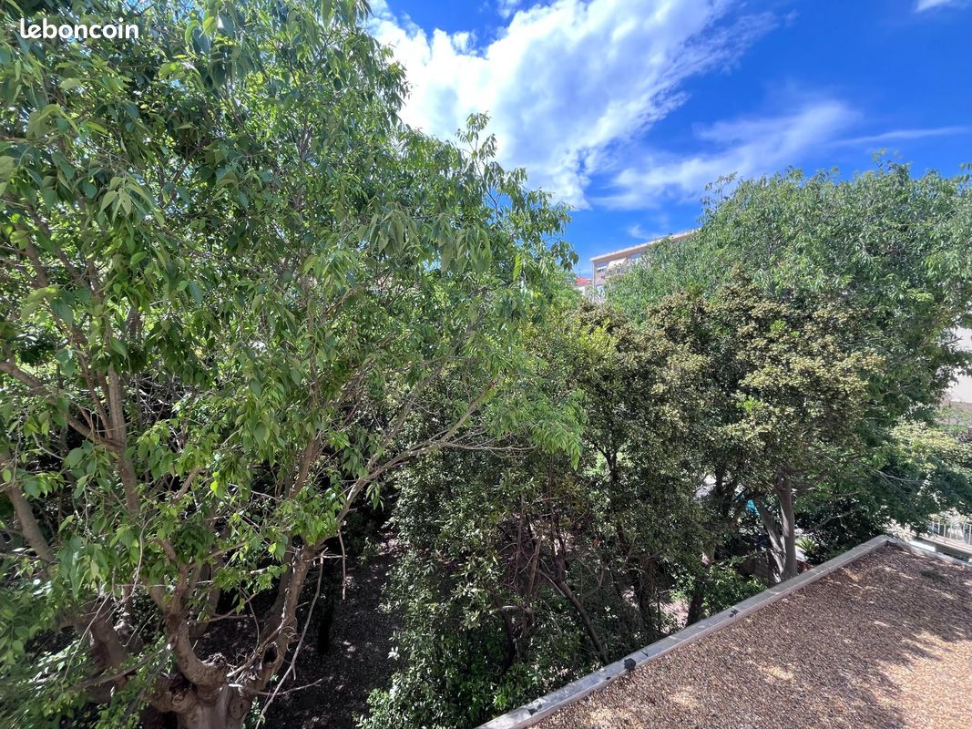 Appartement 1 pièce 17 m² · à Sète · 17 m² · 62 500 €