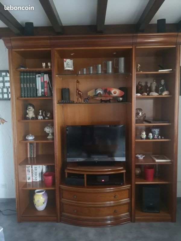 Meuble TV bibliothéque (image 1)