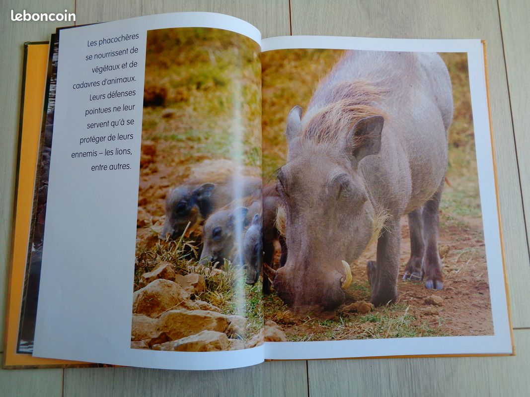 Livre Les Animaux de la Savane (image 2)