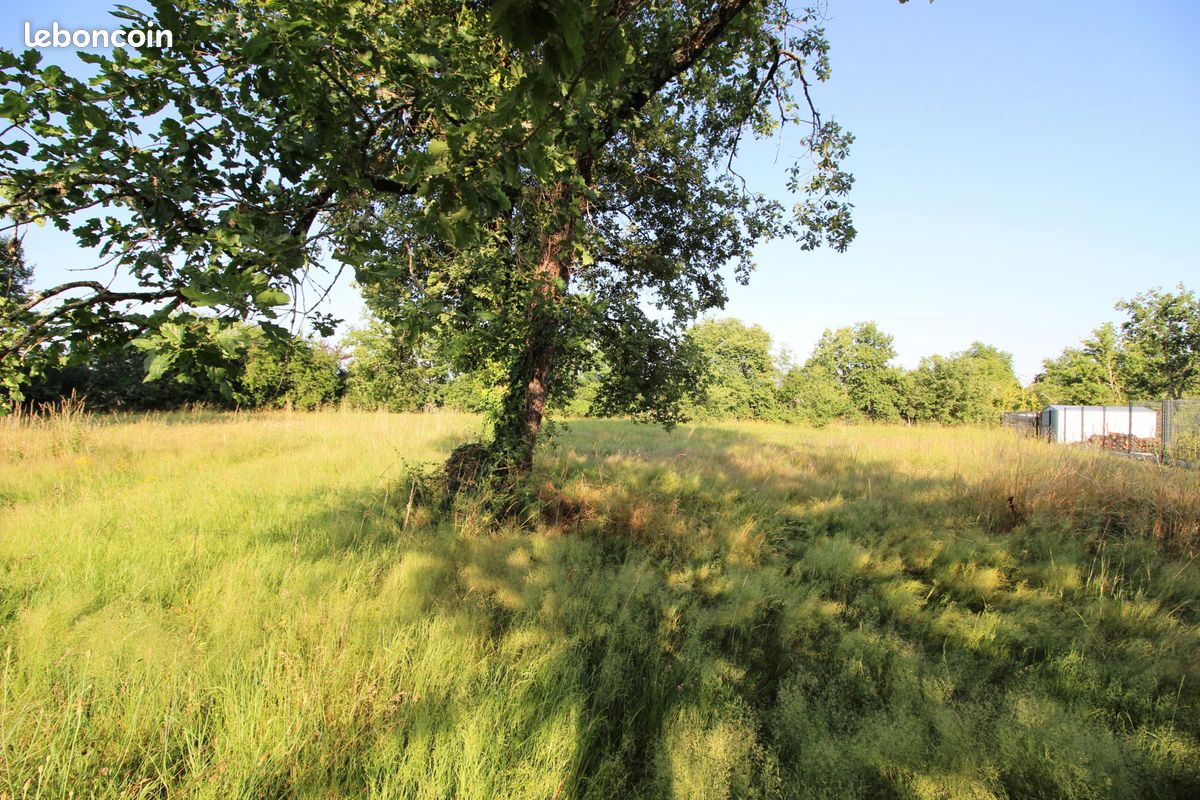 Terrain 1710 m² · à Meauzac · 1 710 m² · 65 000 €