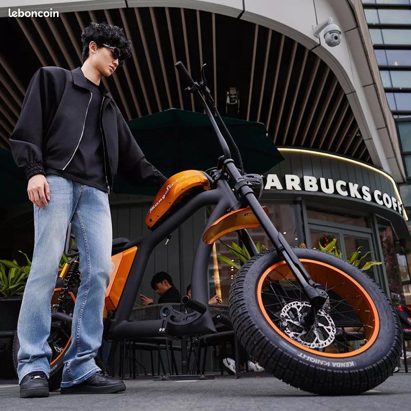 🚲 Vélo électrique FAT BIKE FT-02 750W Batterie 48V/22,5Ah