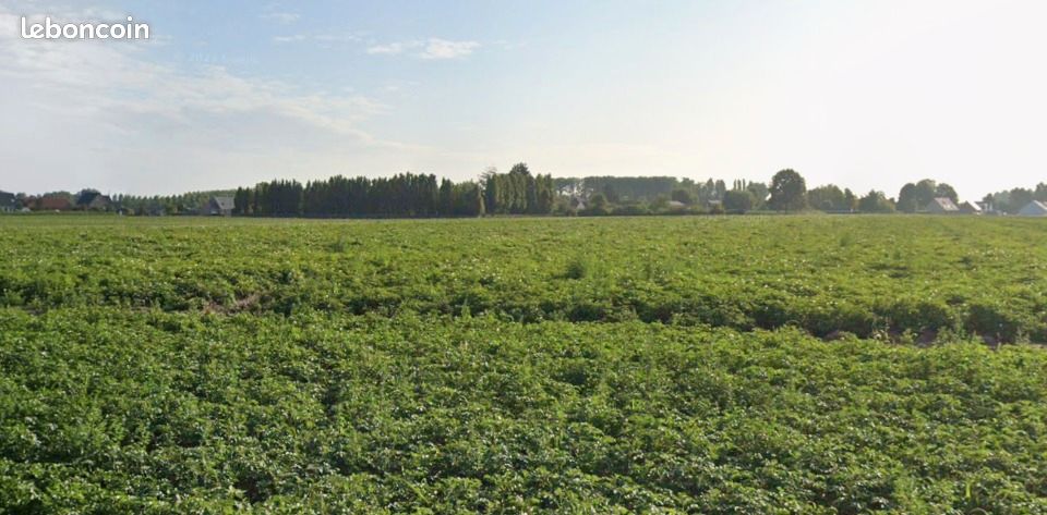Terrain 489 m² Raches · à Râches · 102 989 €
