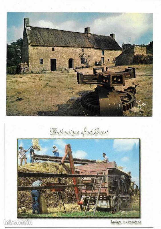 Scènes agricoles / BATTAGE, DEPIQUAGE de la moisson, fléau, batteuse : lot de 16 cartes postales différentes (image 7)
