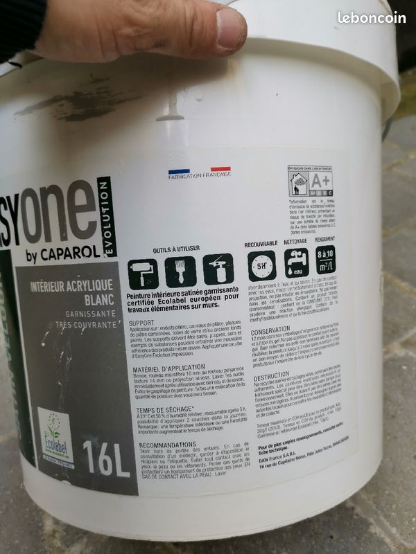 Peinture professionnelle (image 2)