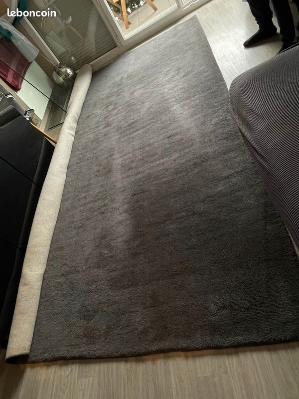 Tapis 350*250 (image 2)