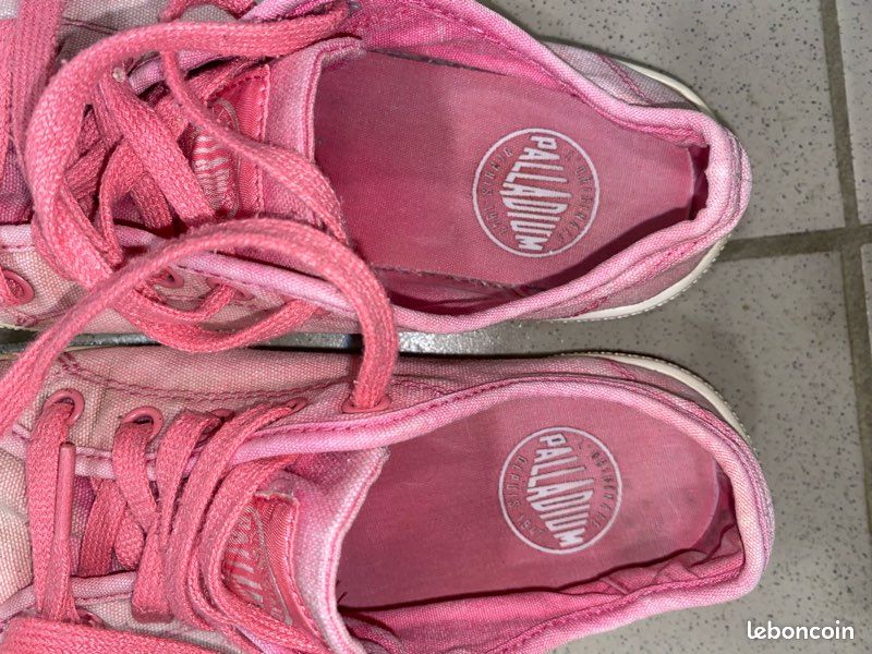 Palladium rose (image 3)