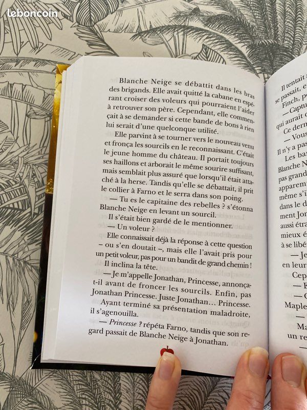 Livre blanche neige le roman du film (image 4)