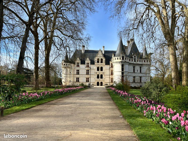 Location Maison 6 personnes - Gîte 3* Au Coeur d'Azay (image 16)