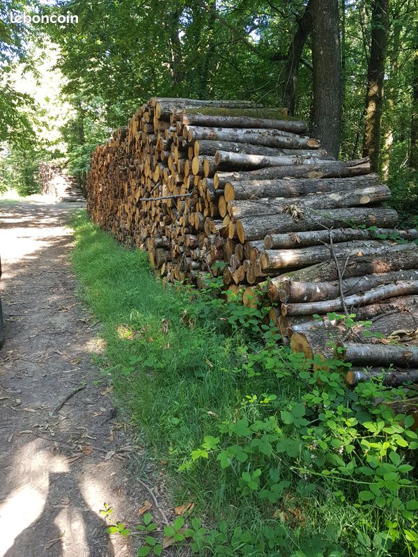 Bois de chauffage chêne sec en billons de 2.0m livré par camion (image 2)