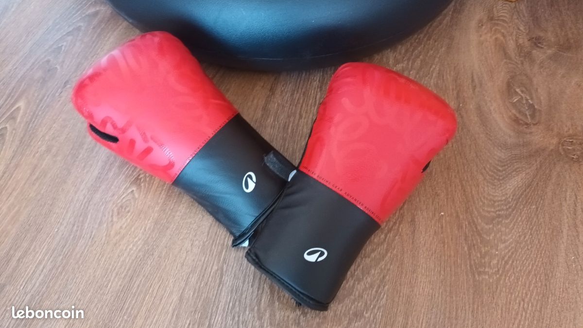 Gants de Boxe enfant (image 1)