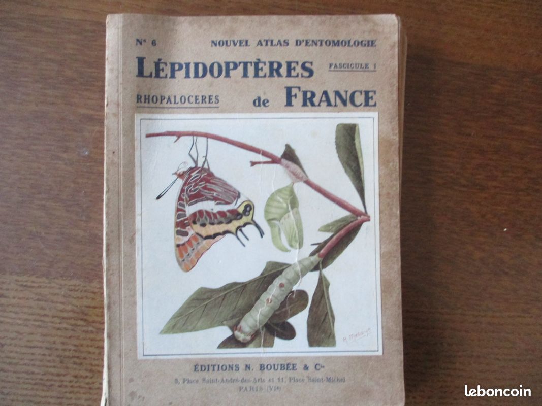 Lepidopteres de france nouvel atlas d'entomologie (image 1)