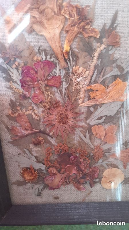 Cadre de fleurs séchées ancien (image 3)