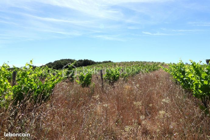 Terrain agricole 54 432 m² Caussiniojouls
