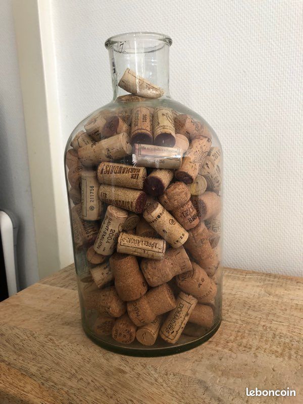 Bocal En Verre Avec Couvercle Pour Plantes Bocaux Hermétiques En Verre Avec Couvercle En Bois... - Grandado Décoration Miniature Plantes