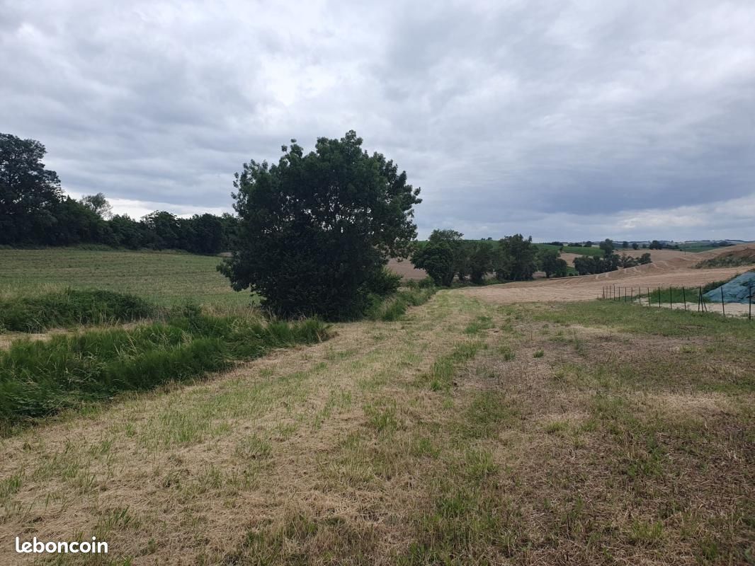 Terrain 1 584 m² Damiatte · 50 000 €