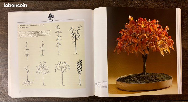 Bonsai , Arbres Miniatures - Paul Lesniewicz - Livres