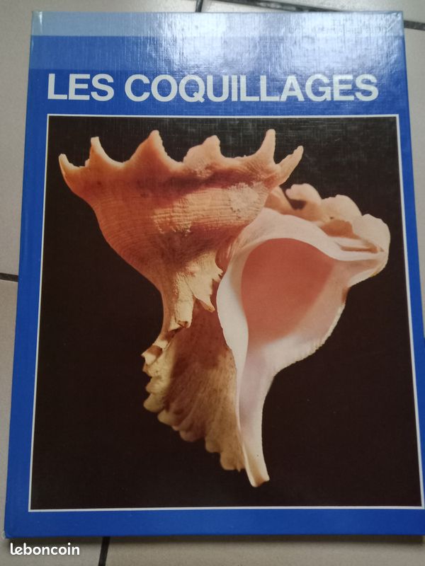 Livre sur les coquillages (image 1)