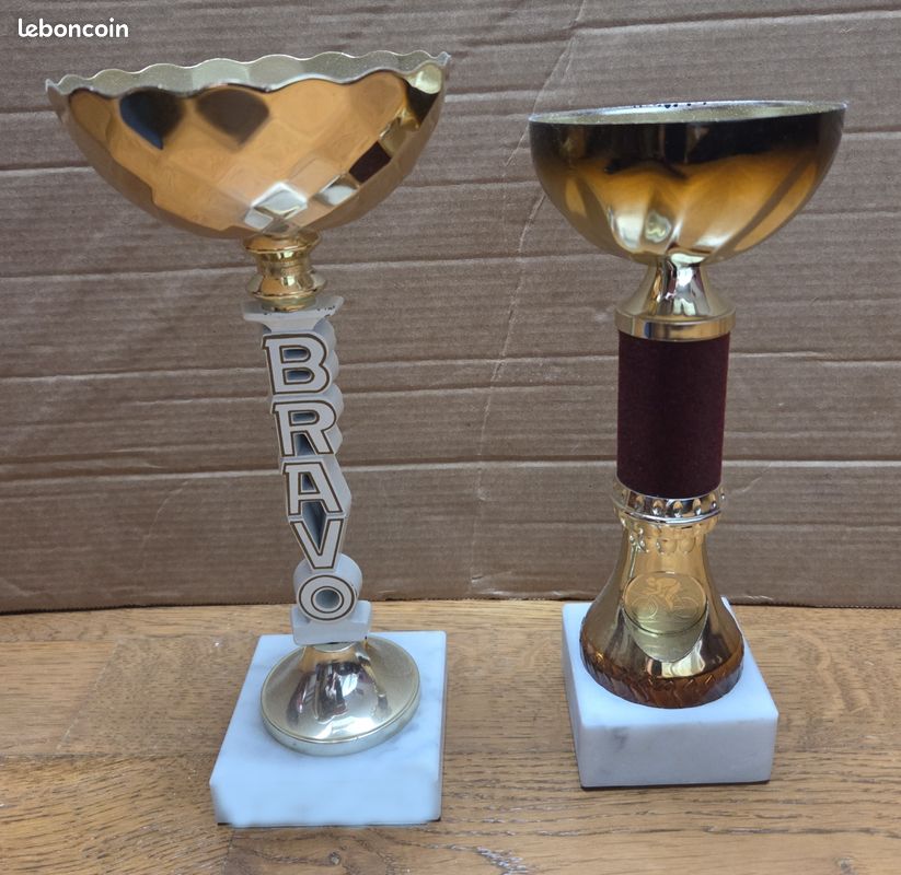 Grande Coupe Trophée – Pour Compétition Ou Décoration